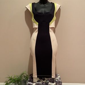 French connection dress